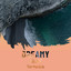 Dreamy Shore Harmonies cover
