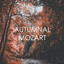 Autumnal Mozart cover