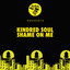 Shame On Me - Mark Lower's Club Mix