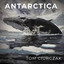 Tom Ciurczak - Antarctica