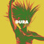 Dura cover