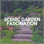 Scenic Garden Fascination cover