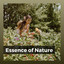 Essence of Nature cover