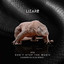 Dont Stop The Music - Leandro Da Silva Remix