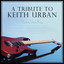 Tribute to Keith Urban cover