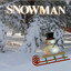 Snowman cover