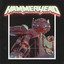 Hammerhead — Manifolds cover art