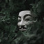 Die Visage in Dem Spiegel cover