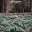 Isolde Lasoen - Capricorn Avenue