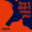 Didn't Miss You
