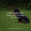 Calming Sounds | Sleep and Serenity For Dogs cover