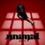 KATSEYE - Animal (on the dance floor)
