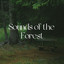 Sounds of the Forest cover