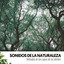Sonidos de la Naturaleza: Melodías de las copas de los árboles cover