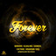 Forever Riddim cover