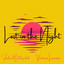 Lost in the Night