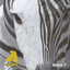 Millionnaire cover