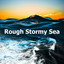 Rough Stormy Sea cover