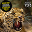 Again Faster - Alberto Ruiz Remix