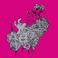catedral celestial cover