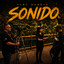 EFECTO DE SONIDO (AUDIO) - BARRA APLAUSOS