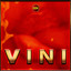Nmdeal - VINI