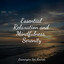 Essential Relaxation and Mindfulness, Serenity cover