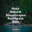 Hour Natural Soundscapes: Rainforest Rain cover