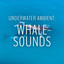 Underwater Ambient: Whale Sounds cover