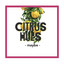 Citrus Hues - Maybe