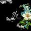 Blue Paradise - 4QM Remix