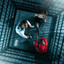 Compte de faits cover