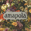 Amapola