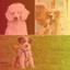 Tasteful Guitar Chill Out - Ambiance for Training Hounds cover