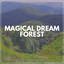 Magical Dream Forest cover