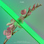 Never Be Like You - Martin Solveig Remix
