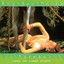 Big Ben Tribe — Tarzan Loves the Summer Nights cover art