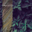 Aydn Britt, Ben Junction - Palcoyo