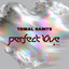 Perfect Love - Tribal Saints & Em