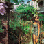 Summer Groove - Nicholas Cole on KUNV