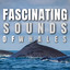 Fascinating Sounds of Whales cover