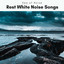 2 0 2 2 Rest White Noise Songs cover