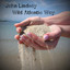 Wild Atlantic Way cover