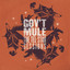 Gov't Mule - Rockin' Horse