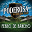 Perro De Rancho