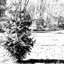 Christless cover