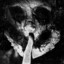 Silence cover