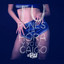 PROMO - SOMOS CREADORES DE EXITOS