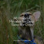 50 Peaceful Melodies for Deep Sleep For Dogs cover