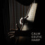 Calm Celtic Harp: Inspirational Music for Reading and Writing cover